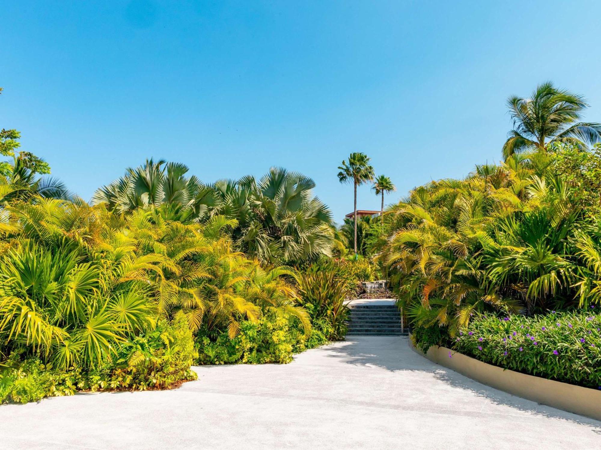 Armony Marival Resort & Spa Punta De Mita - Mgallery Collection (Adults Only) Punta Mita Exterior foto